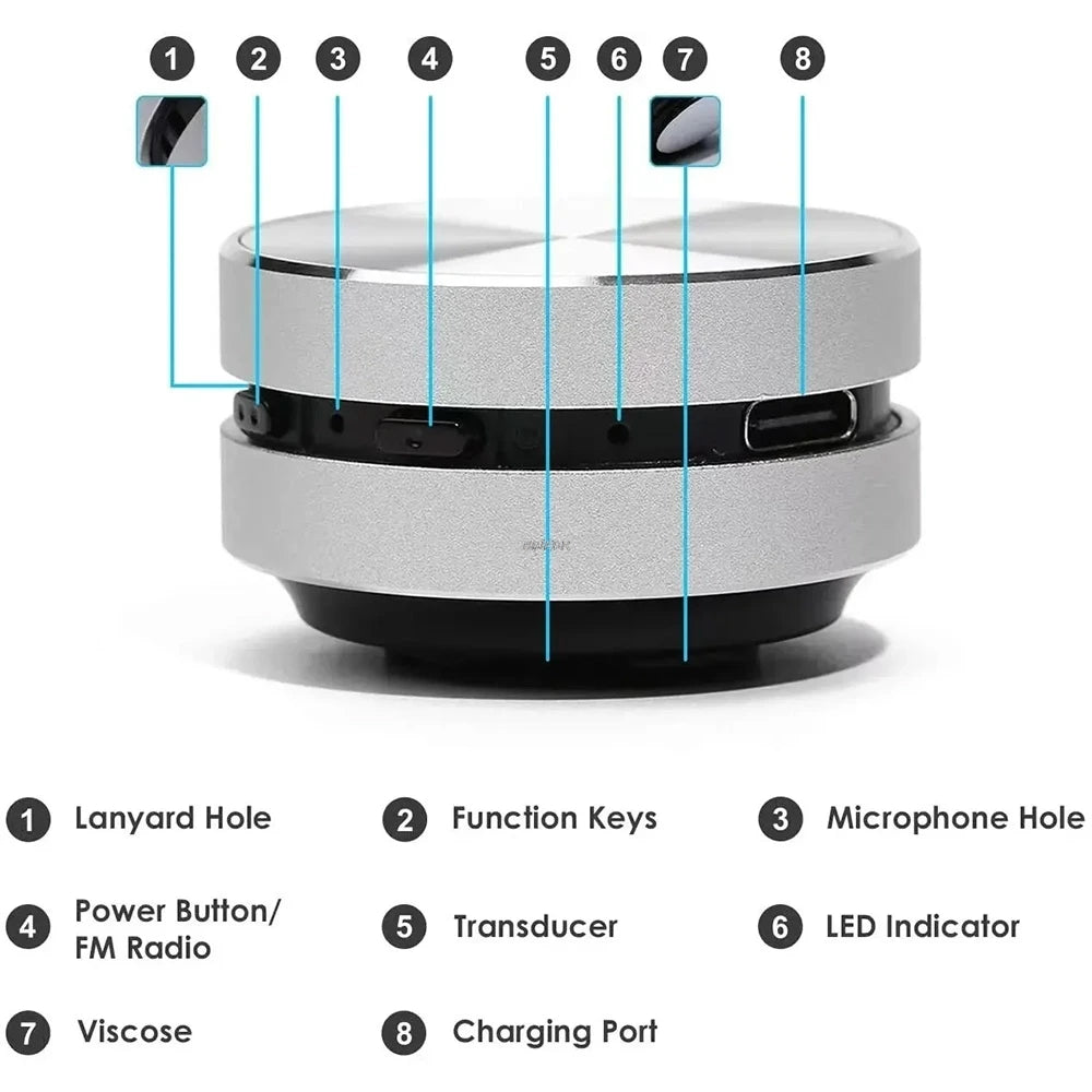 Anything Speaker